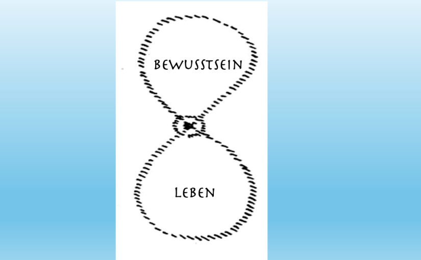 Lernen als Alternative zum Tod einer&nbsp;Organisation